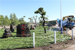 阿爾山景區以園林綠化工程打造別樣風景