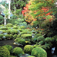 云南園林綠化工程全攻略 從價(jià)格解析到廠家批發(fā)一站式指南